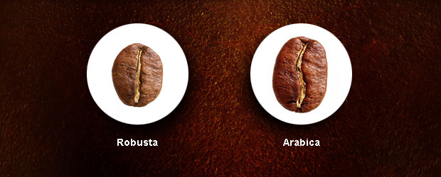 Robusta versus Arabica