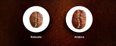 Robusta versus Arabica